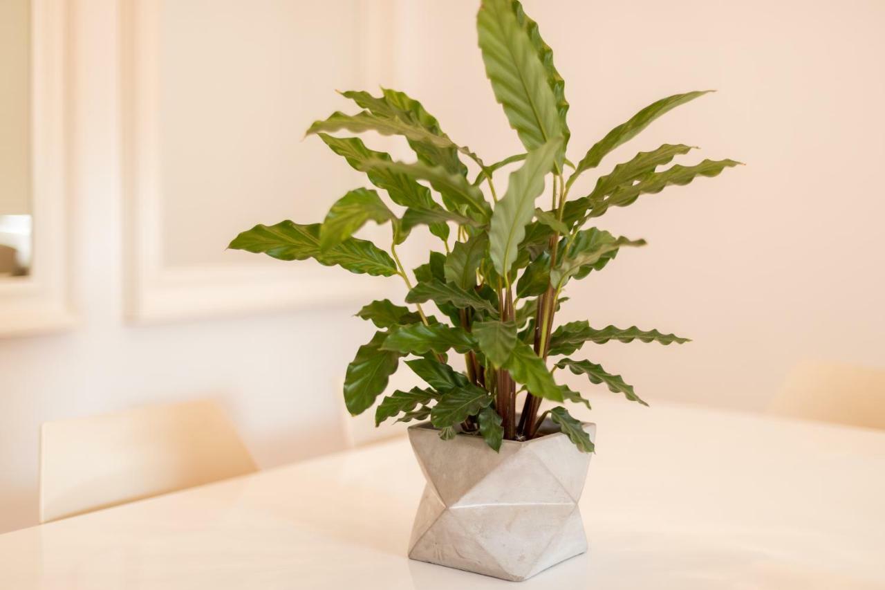 Alfama Modern Two-Bedroom Apartment W/ River View And Parking - By Lu Holidays Lisboa Exterior foto